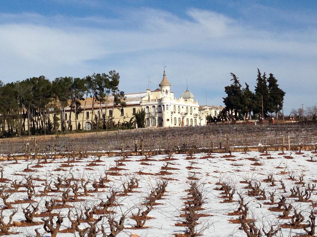 Finca Casa Nueva Requena Exterior photo